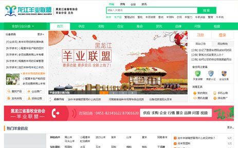 H5響應式網站建設